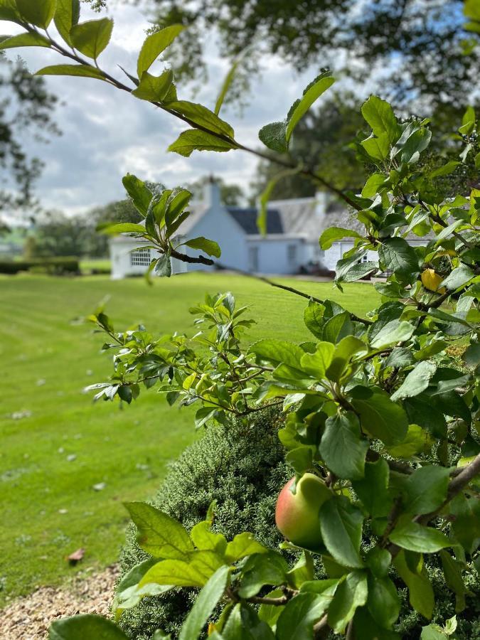 South Craighall B&B Eaglesham Exterior photo